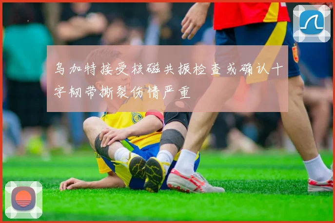 乌加特接受核磁共振检查或确认十字韧带撕裂伤情严重