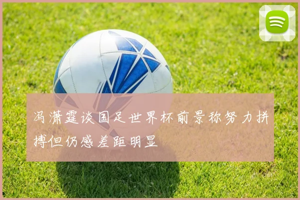 冯潇霆谈国足世界杯前景称努力拼搏但仍感差距明显